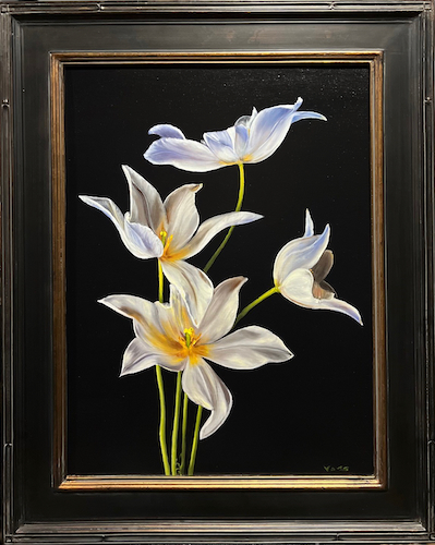 White Tulips 24x18 $1500 at Hunter Wolff Gallery